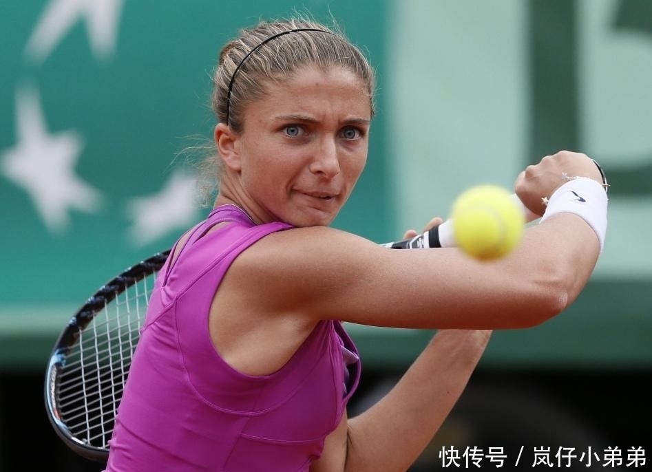 的高度协作 的高度协作