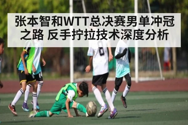 张本智和WTT总决赛男单冲冠之路 反手拧拉技术深度分析